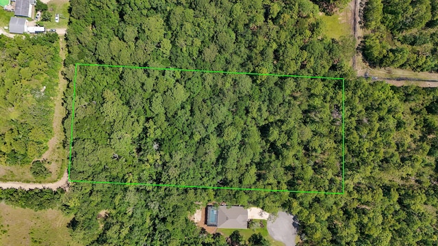 4.66ACRES Watson Rd, Freeport, FL 32439 - photo 4