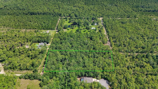 4.66ACRES Watson Rd, Freeport, FL 32439 - photo 5