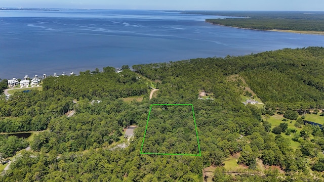4.66ACRES Watson Rd, Freeport, FL 32439 - photo 2