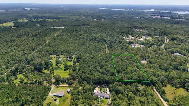 4.66ACRES Watson Rd, Freeport, FL 32439 - photo 6