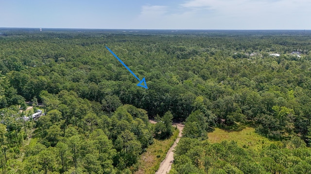 4.66ACRES Watson Rd, Freeport, FL 32439 - photo 8