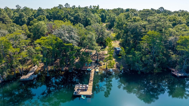 1525 Blue Pond Ln, Ponce De Leon, FL 32455 - photo 1