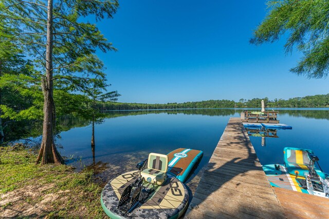 1525 Blue Pond Ln, Ponce De Leon, FL 32455 - photo 54