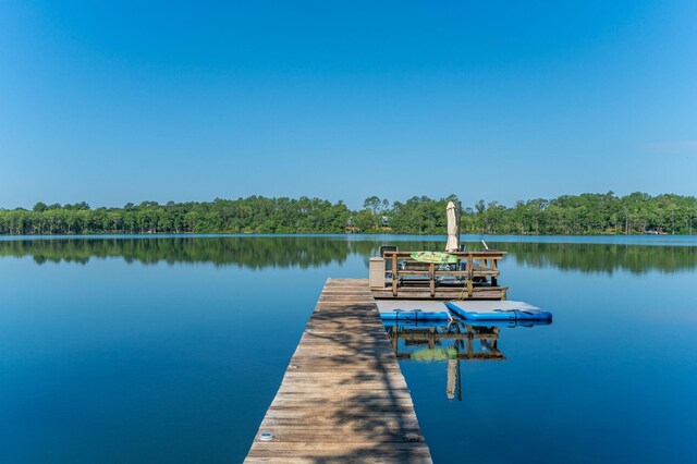 1525 Blue Pond Ln, Ponce De Leon, FL 32455 - photo 55