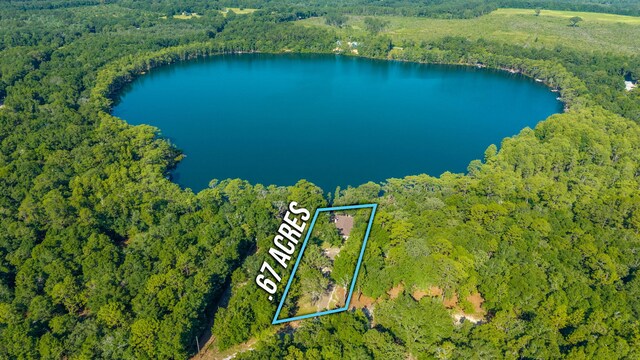 1525 Blue Pond Ln, Ponce De Leon, FL 32455 - photo 61