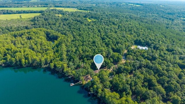 1525 Blue Pond Ln, Ponce De Leon, FL 32455 - photo 63