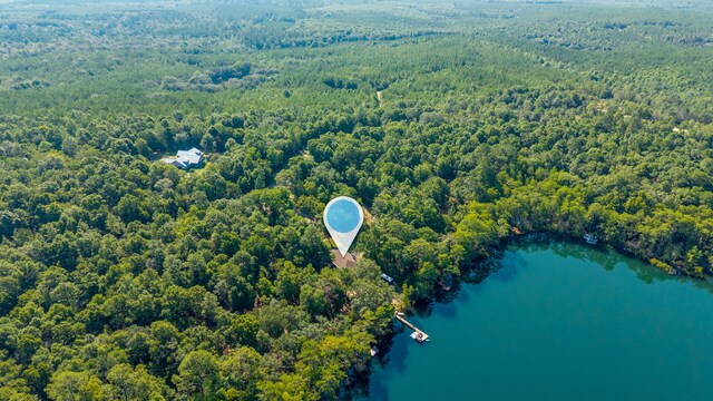 1525 Blue Pond Ln, Ponce De Leon, FL 32455 - photo 65
