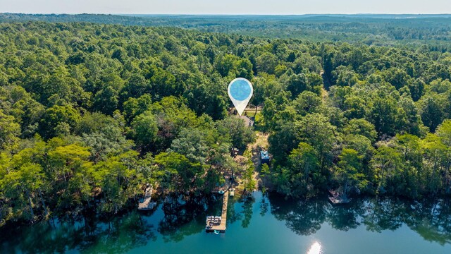 1525 Blue Pond Ln, Ponce De Leon, FL 32455 - photo 66