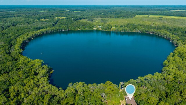 1525 Blue Pond Ln, Ponce De Leon, FL 32455 - photo 67