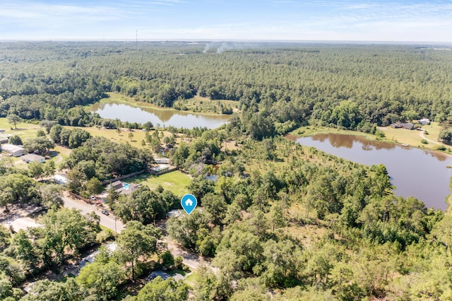 965 B St, Crestview, FL 32536 - aerial view of a forest and a large body of water