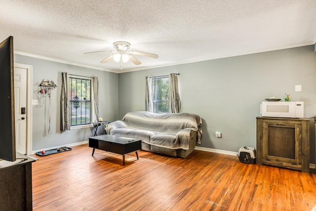965 B St, Crestview, FL 32536 - bedroom with multiple windows, hardwood / wood-style flooring, ornamental molding, a textured ceiling, and ceiling fan