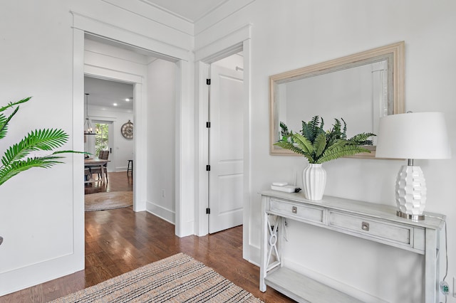257 Matts Way, Santa Rosa Beach, FL 32459 - hallway with wood finished floors