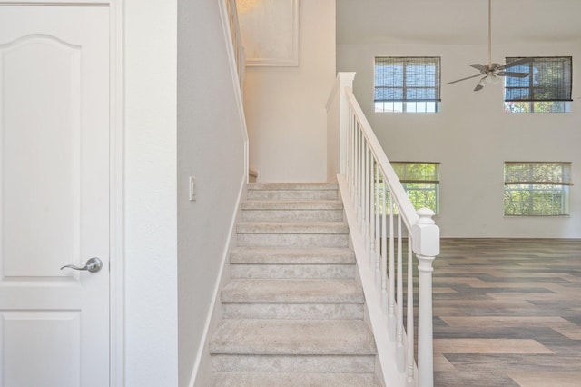 265 Chipola Cv, Destin, FL 32541 - photo 12