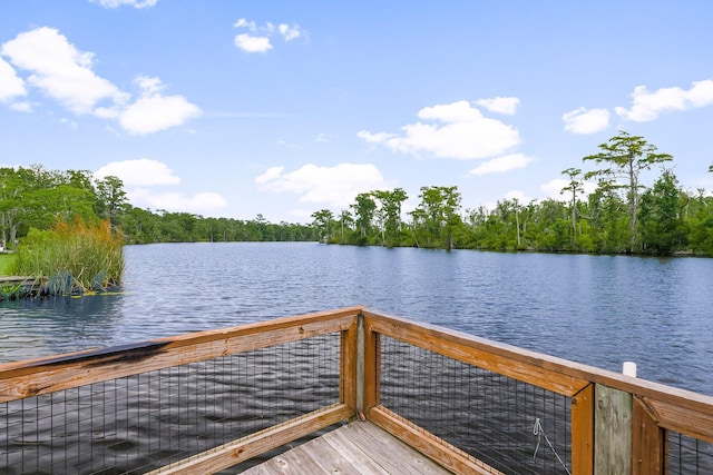 71 Childers Ln, Freeport, FL 32439 - dock area featuring a water view and a forest view