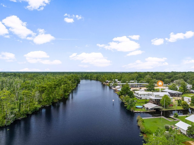 71 Childers Ln, Freeport, FL 32439 - aerial view of a heavily wooded area and a large body of water