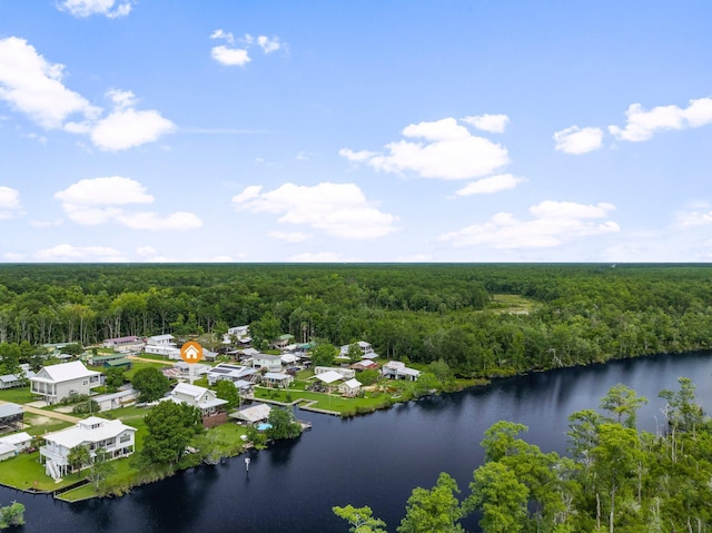71 Childers Ln, Freeport, FL 32439 - bird's eye view of a large body of water