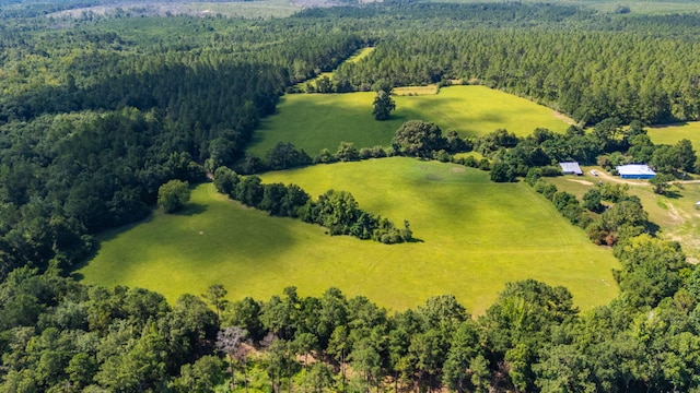 139ACRES Yorkey Rd, Westville, FL 32464 - photo 2