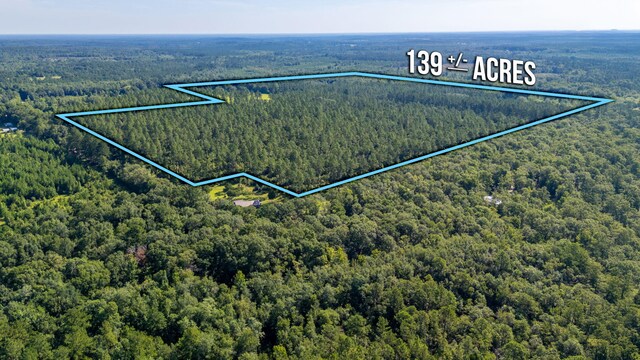 139ACRES Yorkey Rd, Westville, FL 32464 - photo 34