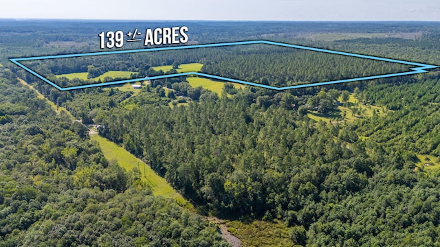 139ACRES Yorkey Rd, Westville, FL 32464 - photo 33