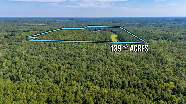 139ACRES Yorkey Rd, Westville, FL 32464 - photo 30