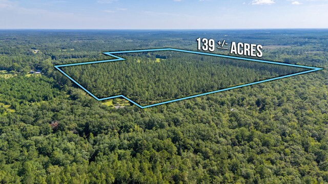 139ACRES Yorkey Rd, Westville, FL 32464 - photo 28