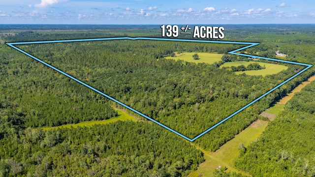 139ACRES Yorkey Rd, Westville, FL 32464 - photo 1