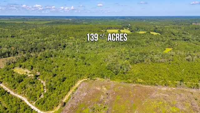 139ACRES Yorkey Rd, Westville, FL 32464 - photo 29