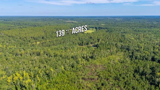 139ACRES Yorkey Rd, Westville, FL 32464 - photo 31