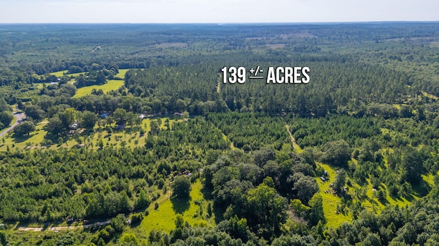 139ACRES Yorkey Rd, Westville, FL 32464 - photo 32