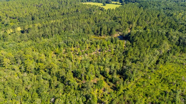 139ACRES Yorkey Rd, Westville, FL 32464 - photo 36