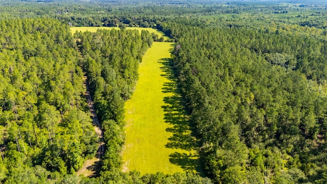 139ACRES Yorkey Rd, Westville, FL 32464 - photo 35