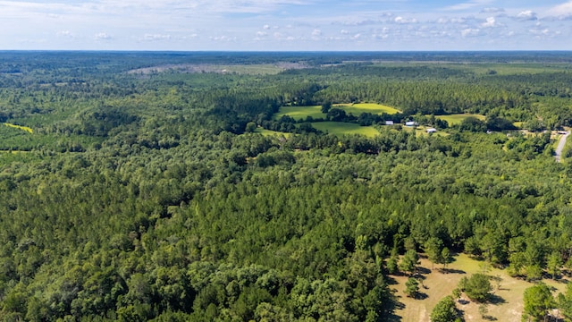 139ACRES Yorkey Rd, Westville, FL 32464 - photo 37