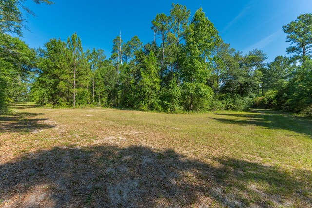 139ACRES Yorkey Rd, Westville, FL 32464 - photo 18