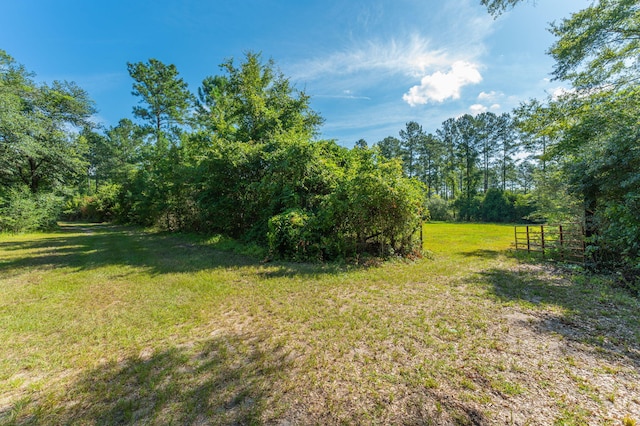 139ACRES Yorkey Rd, Westville, FL 32464 - photo 19