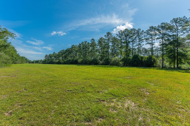 139ACRES Yorkey Rd, Westville, FL 32464 - photo 13