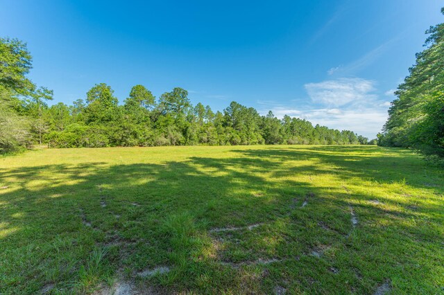 139ACRES Yorkey Rd, Westville, FL 32464 - photo 14