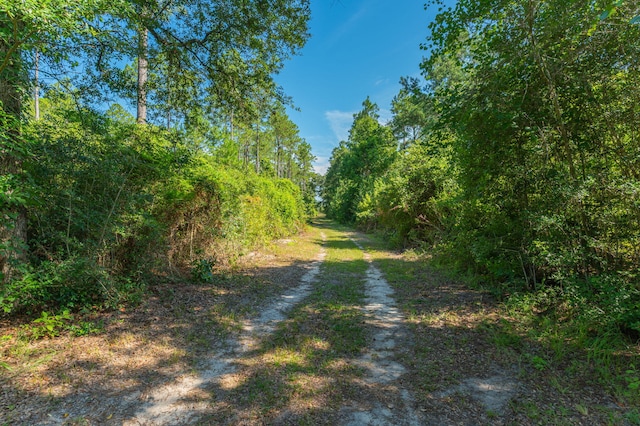 139ACRES Yorkey Rd, Westville, FL 32464 - photo 20