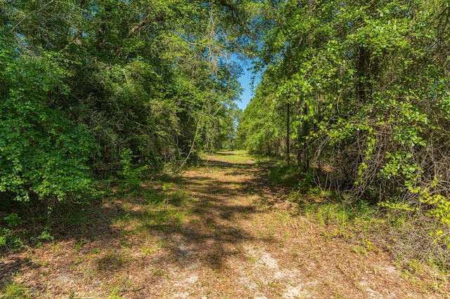 139ACRES Yorkey Rd, Westville, FL 32464 - photo 21