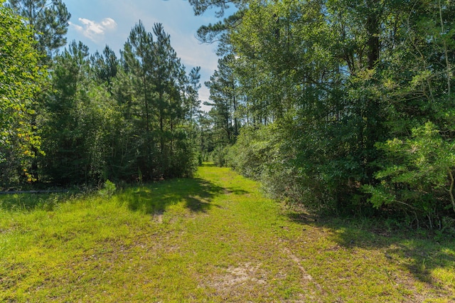 139ACRES Yorkey Rd, Westville, FL 32464 - photo 22
