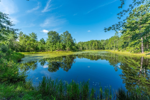 139ACRES Yorkey Rd, Westville, FL 32464 - photo 3