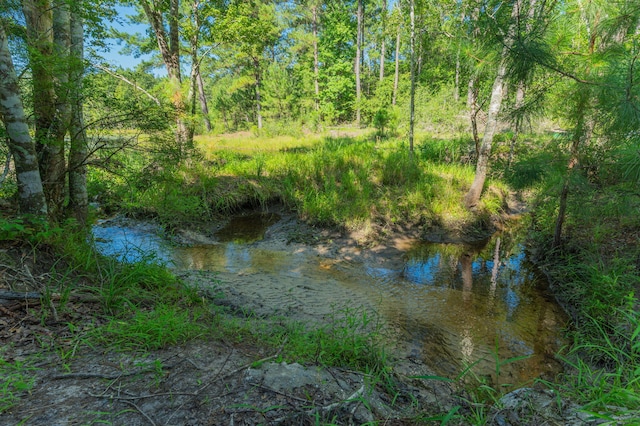 139ACRES Yorkey Rd, Westville, FL 32464 - photo 4