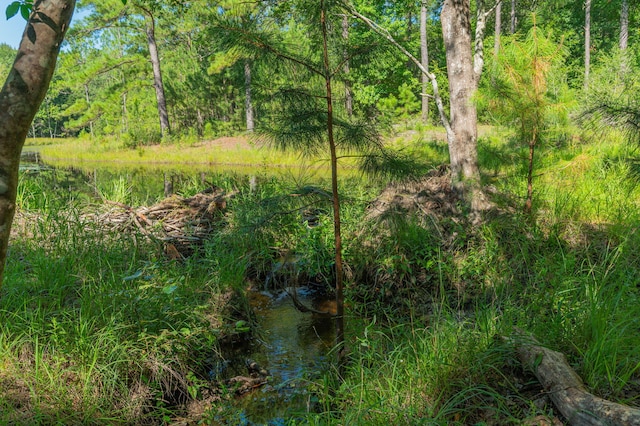 139ACRES Yorkey Rd, Westville, FL 32464 - photo 27