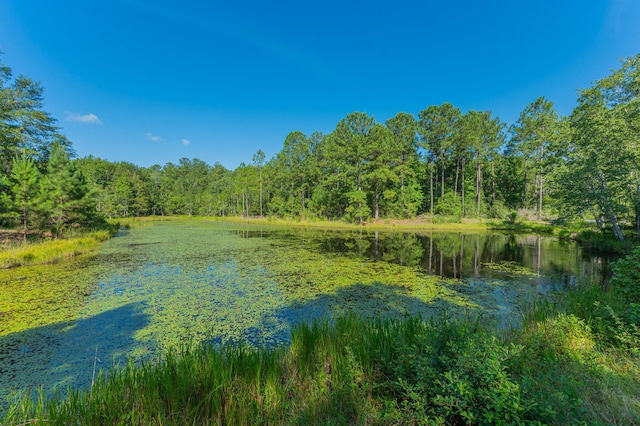 139ACRES Yorkey Rd, Westville, FL 32464 - photo 7