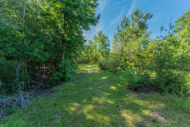 139ACRES Yorkey Rd, Westville, FL 32464 - photo 26