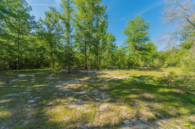 139ACRES Yorkey Rd, Westville, FL 32464 - photo 23