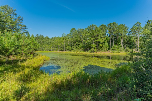 139ACRES Yorkey Rd, Westville, FL 32464 - photo 8
