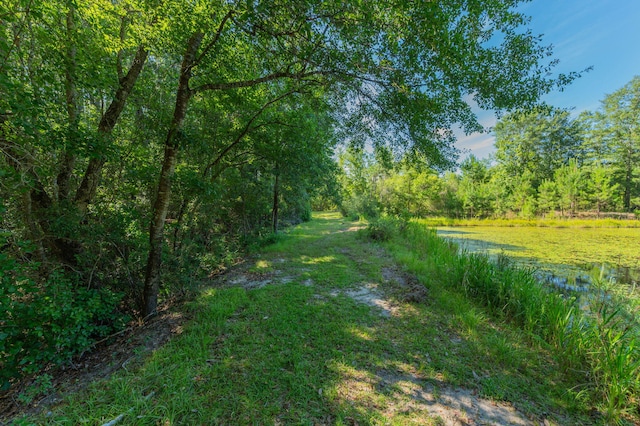 139ACRES Yorkey Rd, Westville, FL 32464 - photo 25