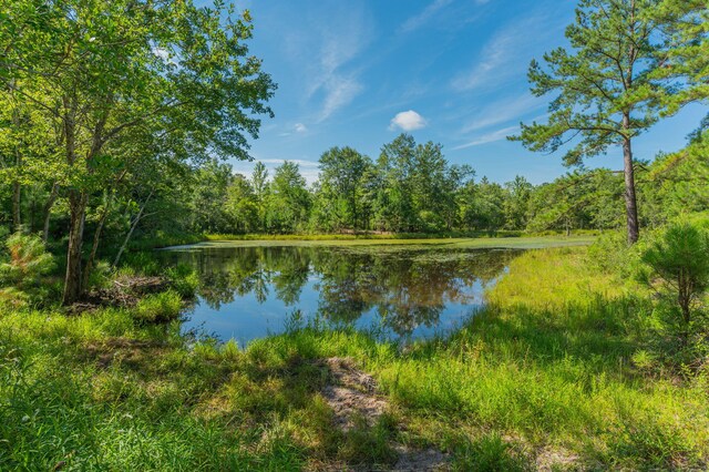139ACRES Yorkey Rd, Westville, FL 32464 - photo 5