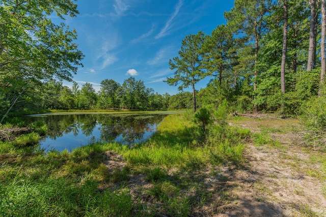 139ACRES Yorkey Rd, Westville, FL 32464 - photo 6