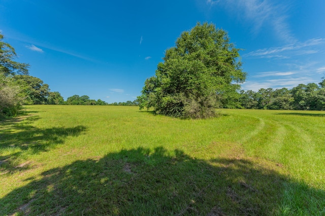 139ACRES Yorkey Rd, Westville, FL 32464 - photo 9